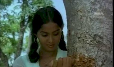 Vizhiyil Vizhundu songs lyrics from Alaigal Oivathillai tamil movie